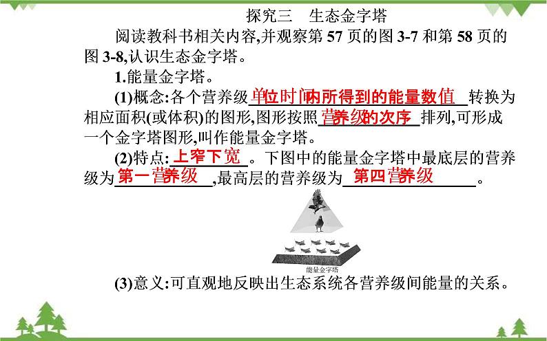 生态系统的能量流动PPT课件免费下载07