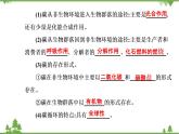 生态系统的物质循环PPT课件免费下载