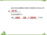 生态系统的信息传递PPT课件免费下载