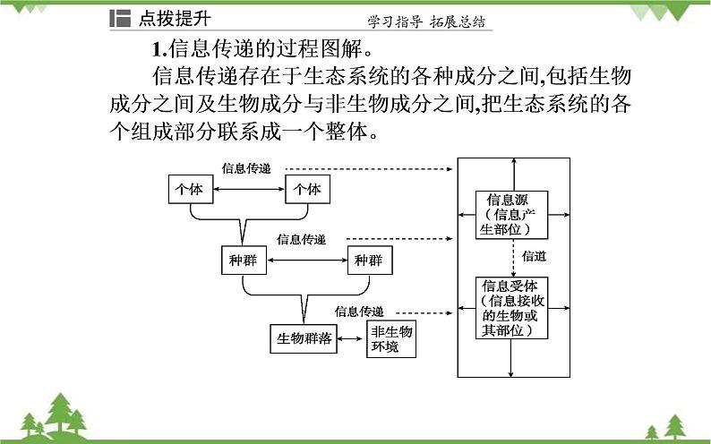 生态系统的信息传递PPT课件免费下载08