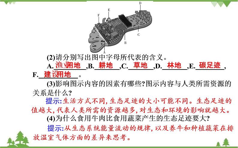 2021秋人教版生物选择性必修2课件：第4章+第1节+人类活动对生态环境的影响第4页