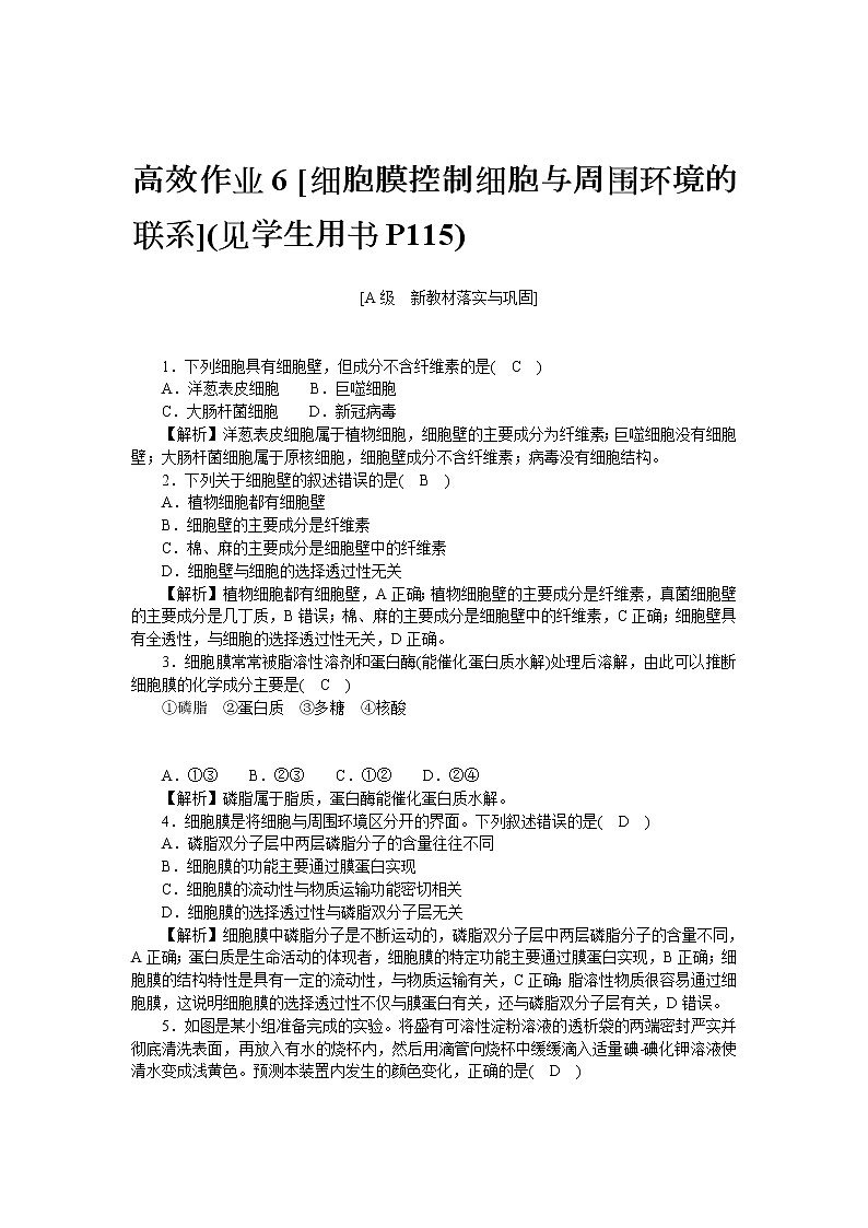2021-2022学年高一生物浙科版必修第一册作业+6+细胞膜控制细胞与周围环境的联系+Word版含解析 练习01