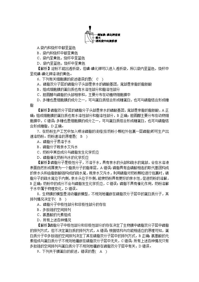 2021-2022学年高一生物浙科版必修第一册作业+6+细胞膜控制细胞与周围环境的联系+Word版含解析 练习02