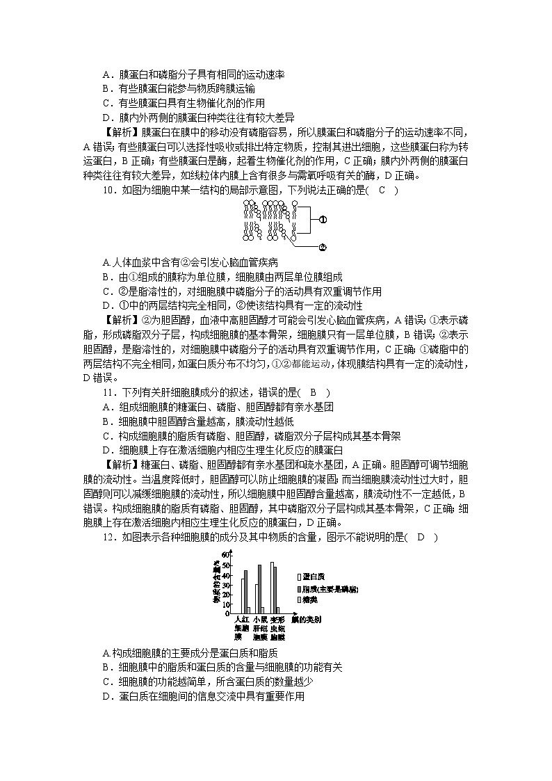 2021-2022学年高一生物浙科版必修第一册作业+6+细胞膜控制细胞与周围环境的联系+Word版含解析 练习03
