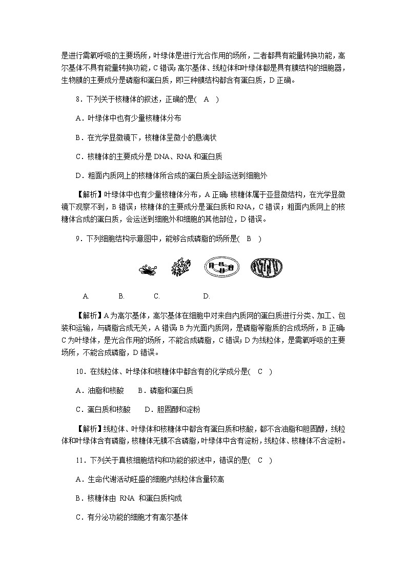 2021-2022学年高一生物浙科版必修第一册作业+7+内质网、核糖体、高尔基体、溶酶体、线粒体和叶绿体+Word版含解析 练习03