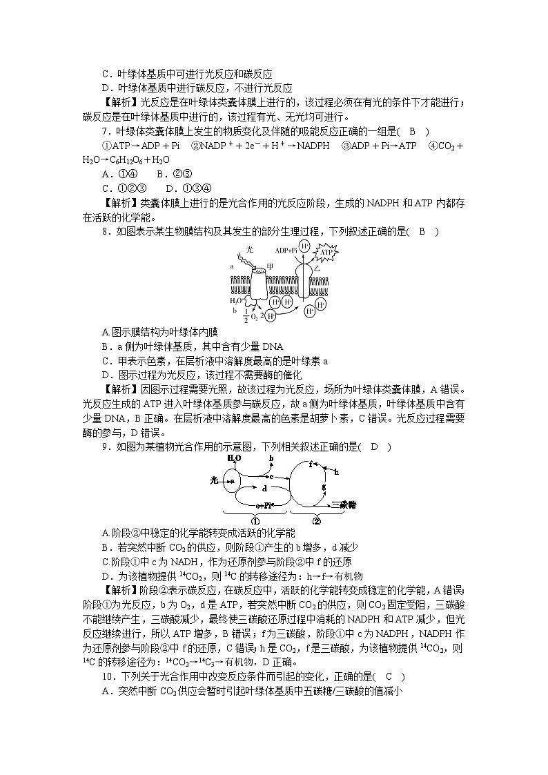 2021-2022学年高一生物浙科版必修第一册作业+20+光反应和碳反应的过程+Word版含解析第2页