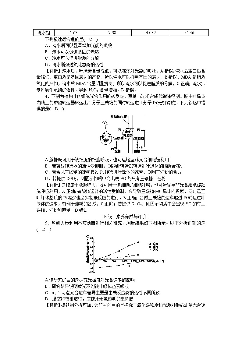 2021-2022学年高一生物浙科版必修第一册作业+22+环境因素影响光合速率（二）+Word版含解析 练习02