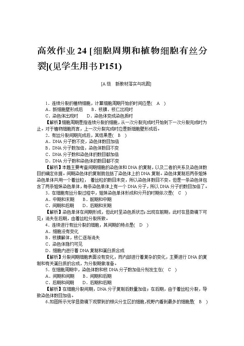 2021-2022学年高一生物浙科版必修第一册作业+24+细胞周期和植物细胞有丝分裂+Word版含解析 练习01