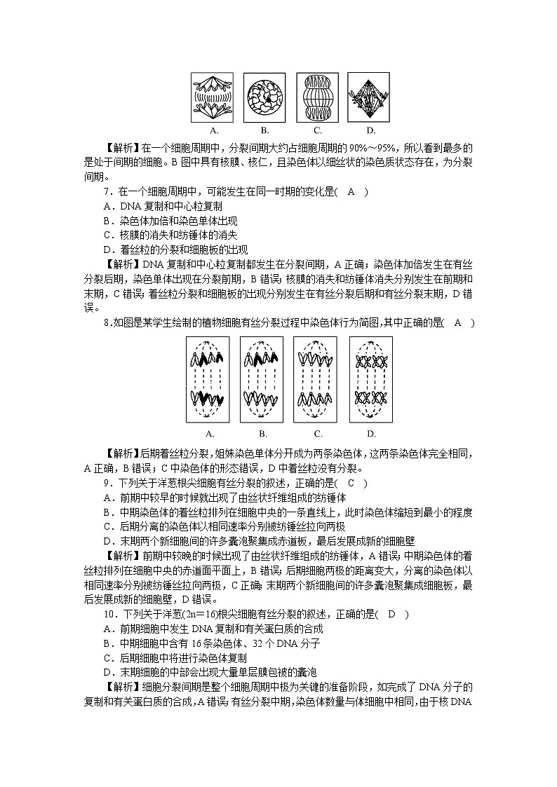 2021-2022学年高一生物浙科版必修第一册作业+24+细胞周期和植物细胞有丝分裂+Word版含解析 练习02