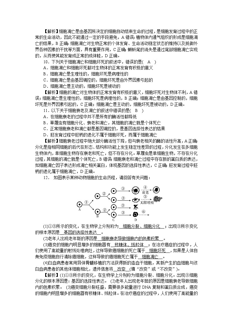 2021-2022学年高一生物浙科版必修第一册作业+27+细胞凋亡是编程性死亡+Word版含解析 练习03