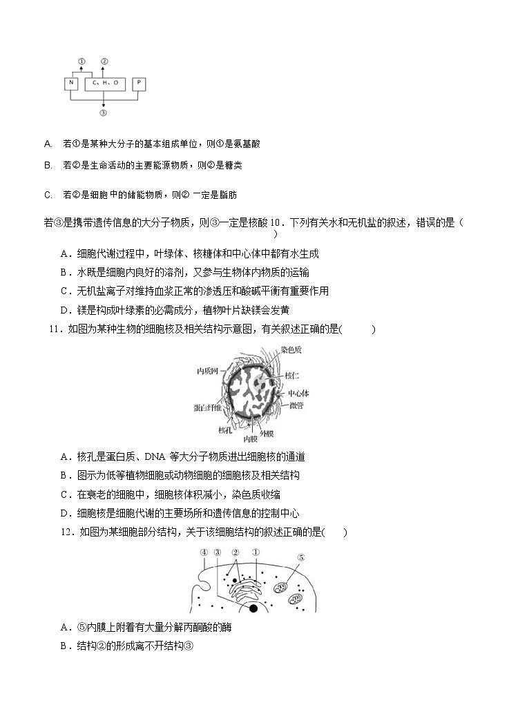 四川省成都市2022届高三上学期入学考试 生物 (含答案)练习题第3页