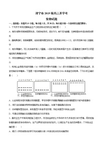 山东省济宁市2022届高三上学期开学考试 生物 (含答案)练习题