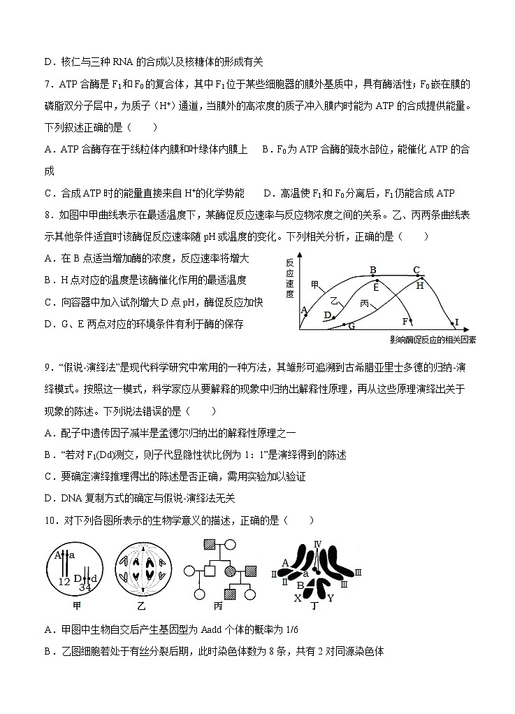 山东省济宁市2022届高三上学期开学考试 生物 (含答案)练习题第3页