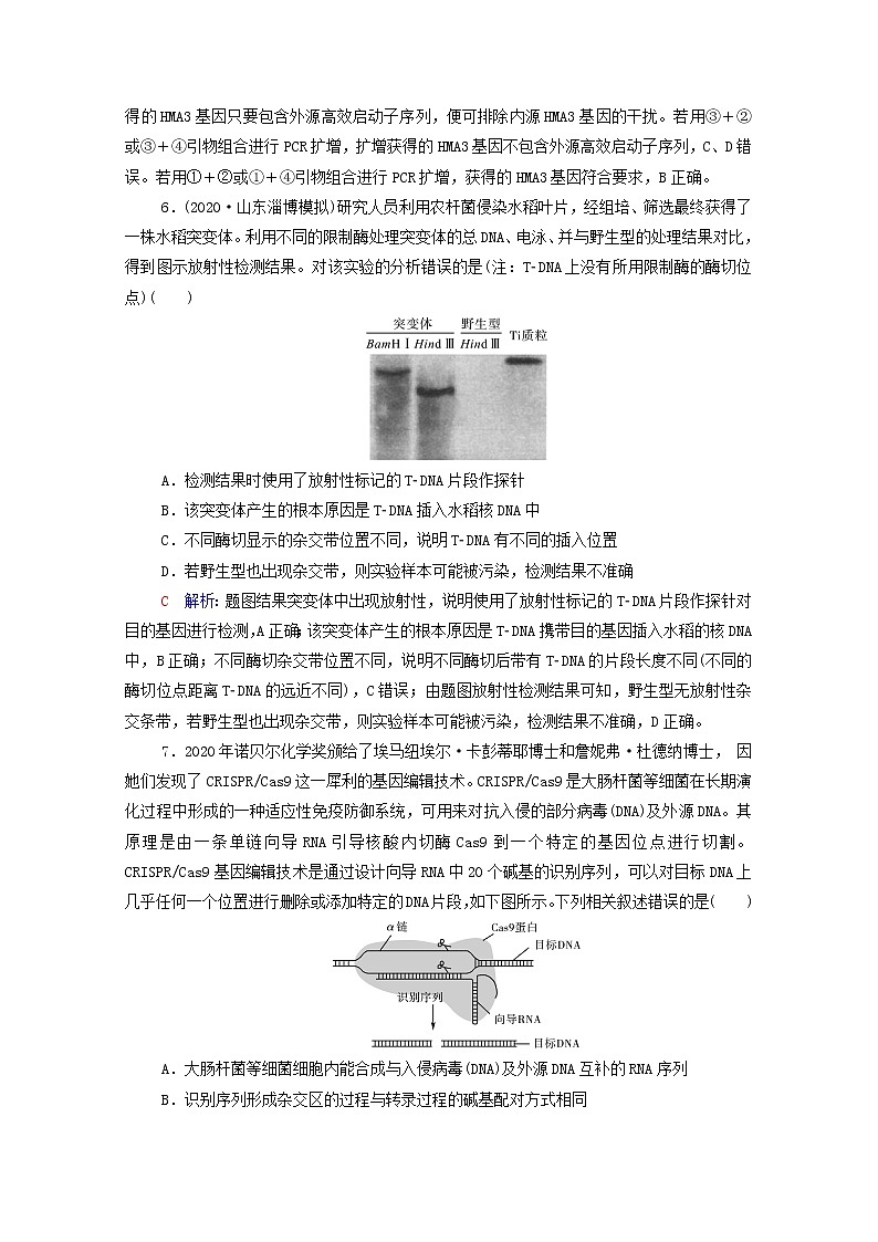2022版高考生物一轮复习课时评价38基因工程含解析新人教版第3页