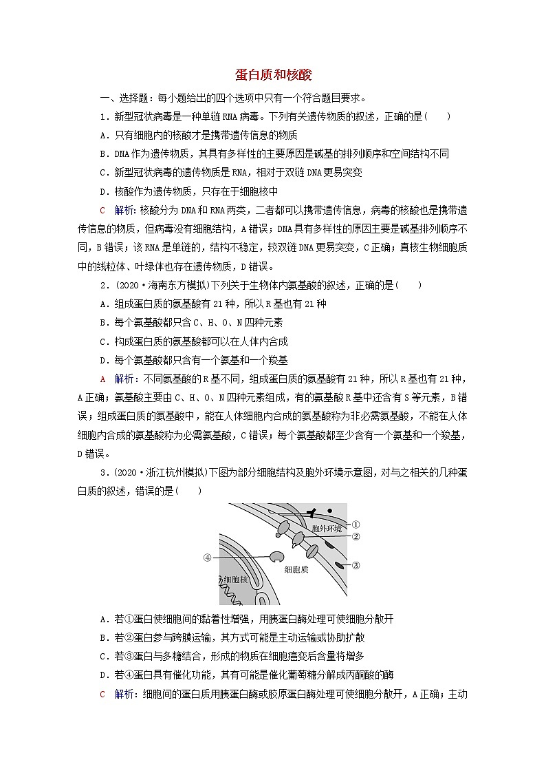 2022版高考生物一轮复习课时评价3蛋白质和核酸含解析新人教版第1页