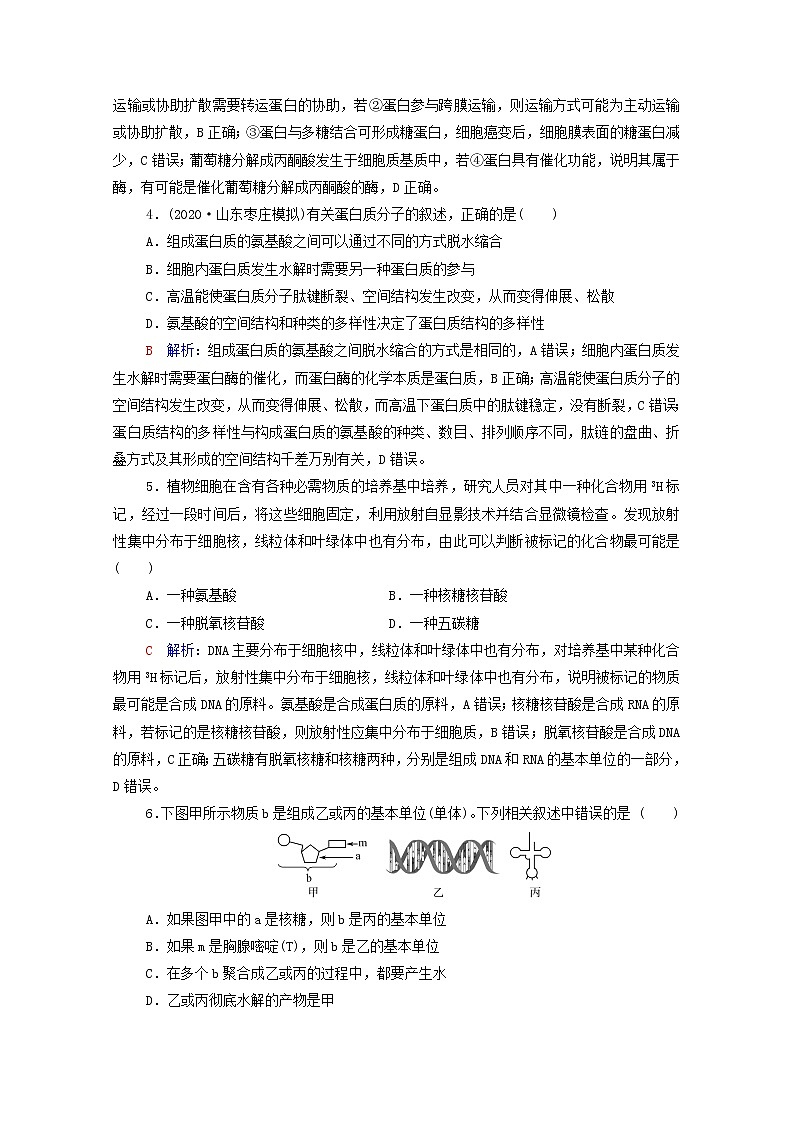 2022版高考生物一轮复习课时评价3蛋白质和核酸含解析新人教版第2页