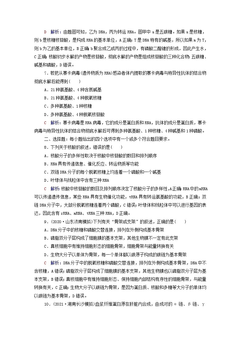 2022版高考生物一轮复习课时评价3蛋白质和核酸含解析新人教版第3页