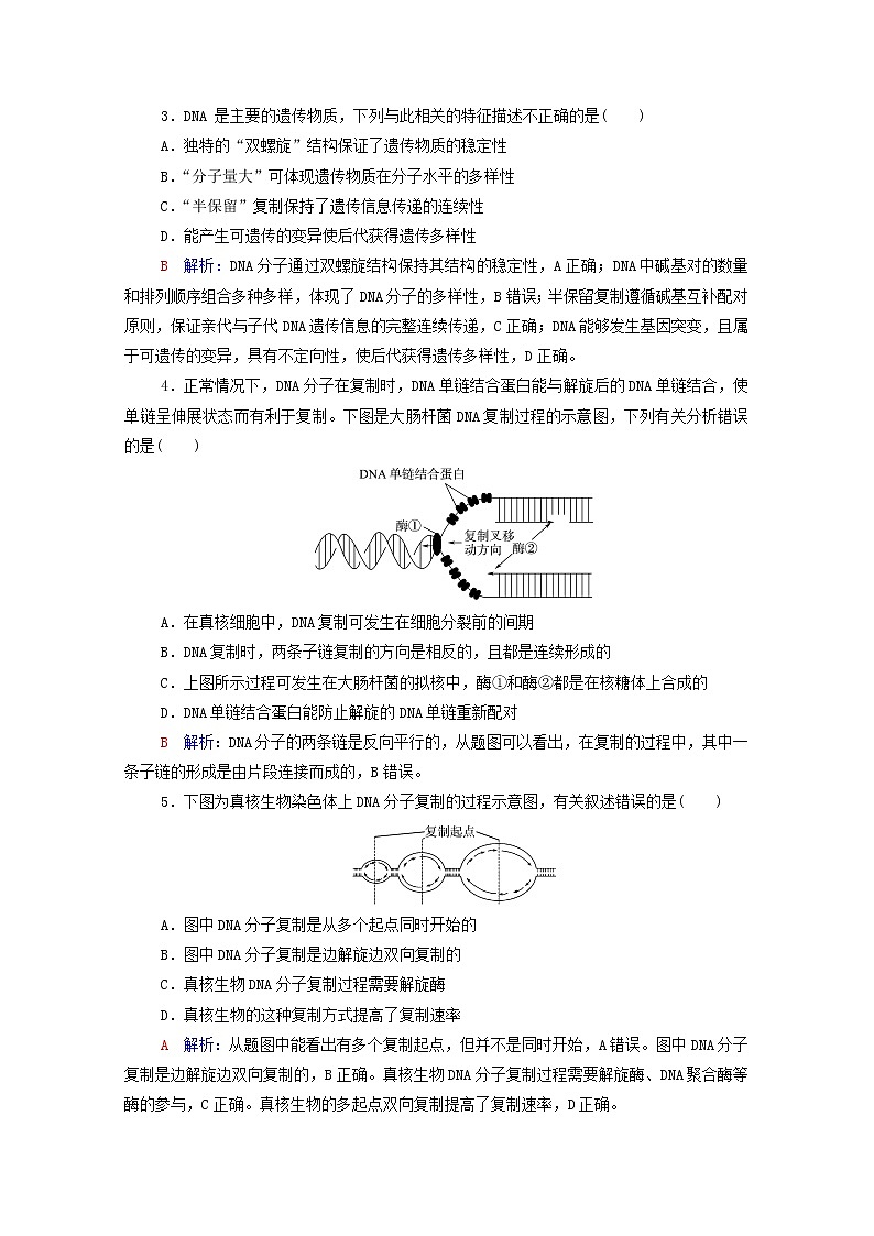 2022版高考生物一轮复习课时评价17DNA的结构复制和基因的本质含解析新人教版 试卷02