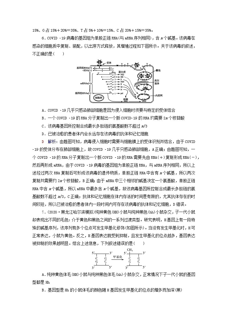 2022版高考生物一轮复习课时评价18基因的表达含解析新人教版第3页