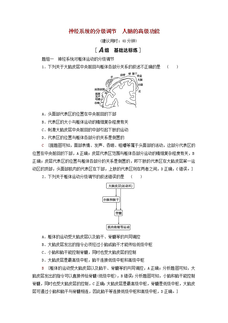 高中生物第2章神经调节第4节神经系统的分级调节第5节人脑的高级功能课后练习含解析新人教版选择性必修1第1页
