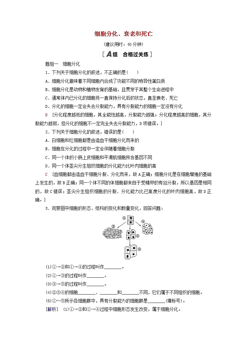 高中生物第四章细胞增殖分化衰老和死亡第2节细胞分化衰老和死亡课后练习含解析苏教版必修101