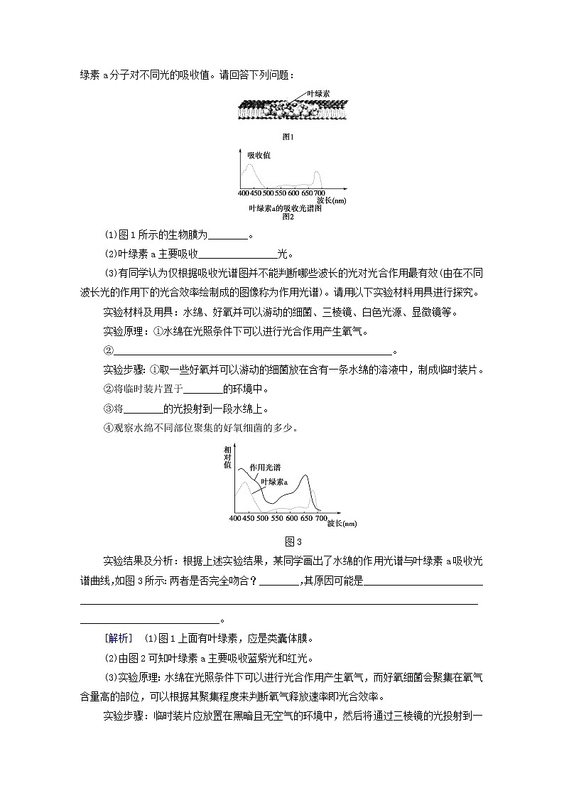 高中生物第三章细胞中能量的转换和利用第2节第1课时解开光合作用之谜叶绿体与光能的捕获课后练习含解析苏教版必修1第3页
