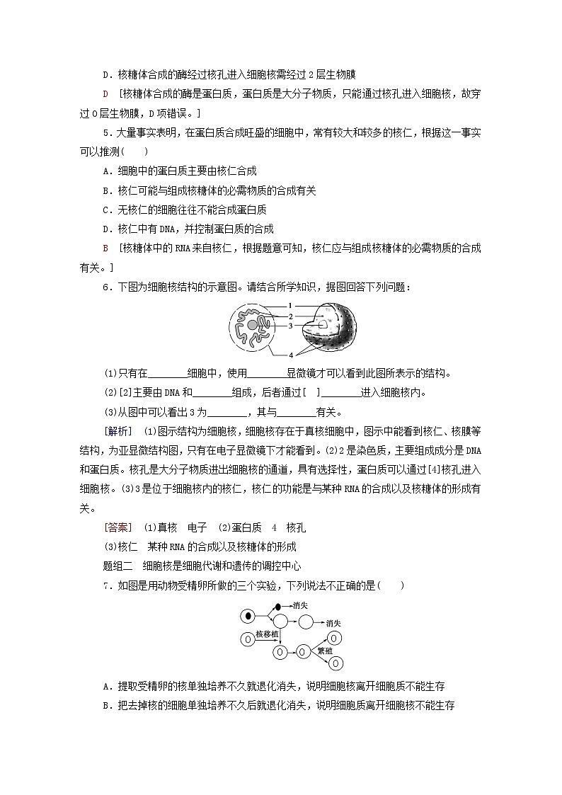 高中生物第二章细胞的结构和生命活动第2节第3课时遗传信息主要储存在细胞核中课后练习含解析苏教版必修1第2页