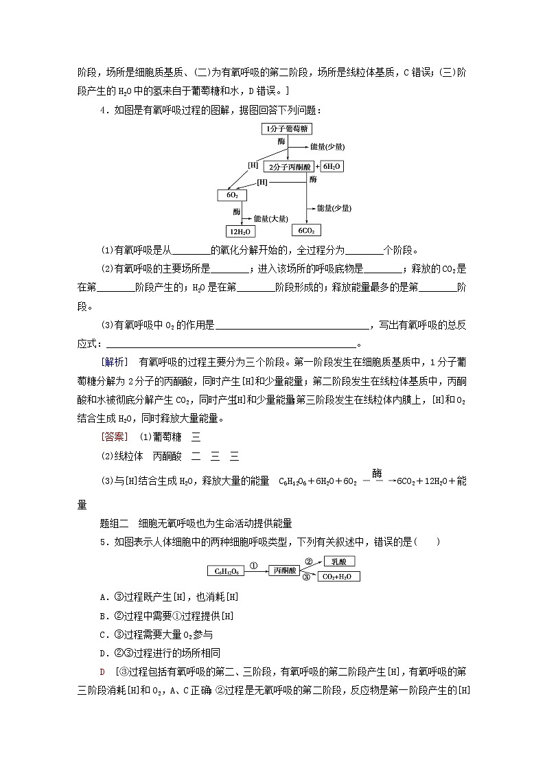 高中生物第三章细胞中能量的转换和利用第3节细胞呼吸__能量的转化和利用课后练习含解析苏教版必修102