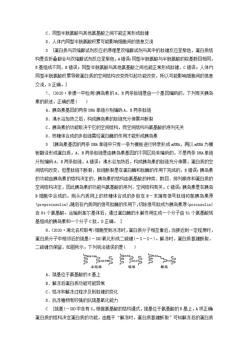 2022届高考生物一轮复习课后限时集训3生命活动的主要承担者__蛋白质含解析新人教版第3页