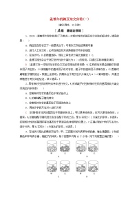 2022届高考生物一轮复习课后限时集训15孟德尔的豌豆杂交实验一含解析新人教版