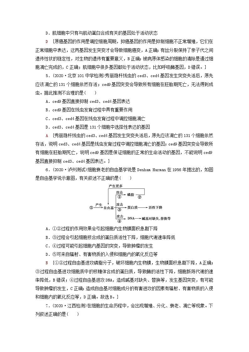 2022届高考生物一轮复习课后限时集训14细胞的分化衰老凋亡和癌变含解析新人教版第2页