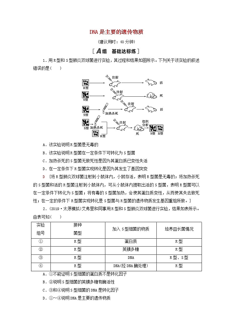 2022届高考生物一轮复习课后限时集训18DNA是主要的遗传物质含解析新人教版第1页
