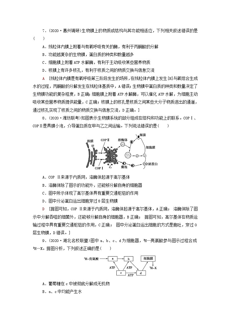 2022届高考生物一轮复习课后限时集训6细胞器__系统内的分工合作含解析新人教版第3页