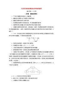 2022届高考生物一轮复习课后限时集训33生态系统的能量流动和物质循环含解析新人教版