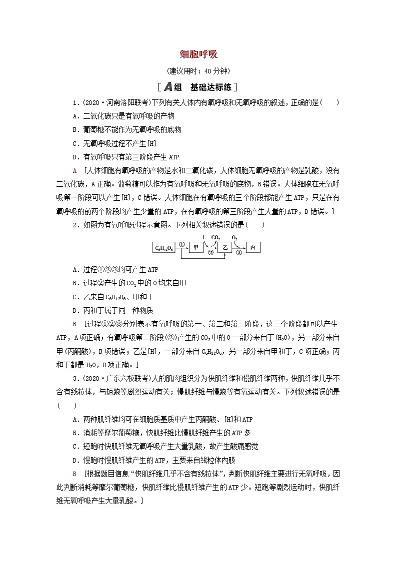 2022届高考生物一轮复习课后限时集训9细胞呼吸含解析新人教版 试卷01