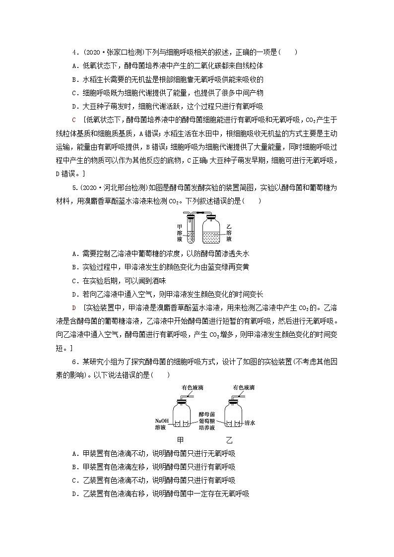 2022届高考生物一轮复习课后限时集训9细胞呼吸含解析新人教版 试卷02