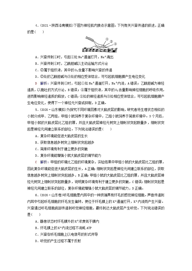 2022版高考生物一轮复习课时评价23神经调节含解析新人教版 试卷02