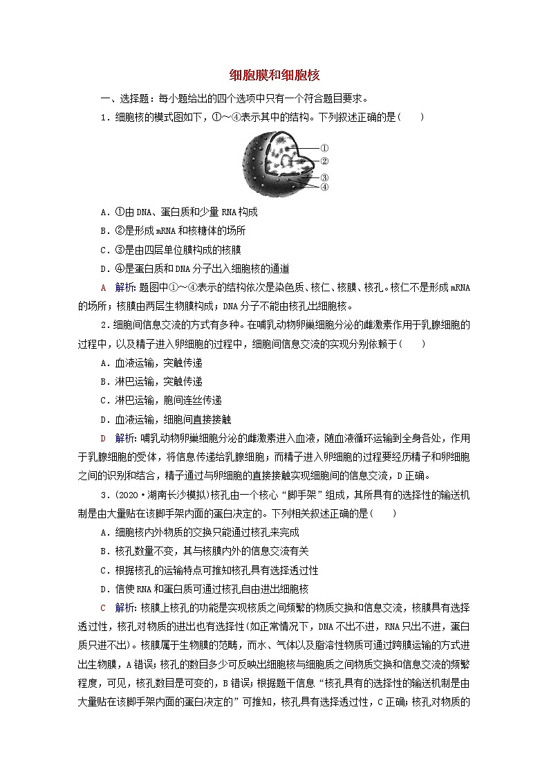 2022版高考生物一轮复习课时评价4细胞膜和细胞核含解析新人教版第1页