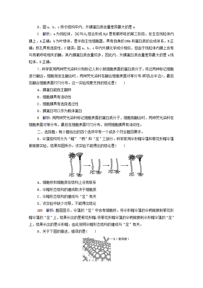 2022版高考生物一轮复习课时评价4细胞膜和细胞核含解析新人教版第3页