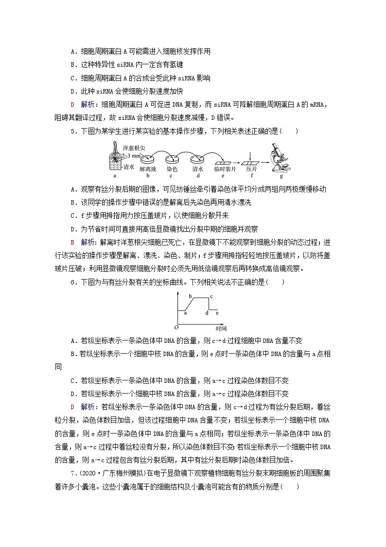 2022版高考生物一轮复习课时评价10细胞的增殖含解析新人教版第2页