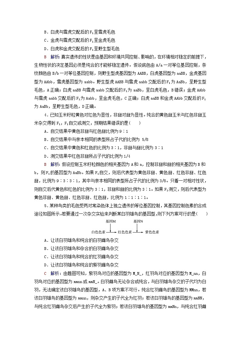 2022版高考生物一轮复习课时评价14孟德尔的豌豆杂交实验二含解析新人教版第2页