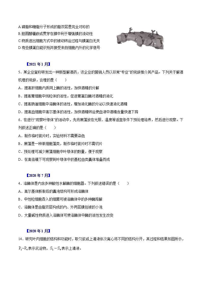 专题01 细胞的分子组成及细胞结构-五年（2017-2021）高考生物真题分项汇编（浙江专用）（原卷版）第3页