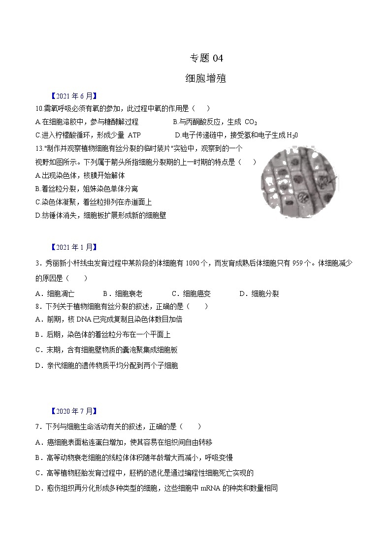 专题04 有丝分裂和减数分裂-五年（2017-2021）高考生物真题分项汇编（浙江专用）（原卷版）01