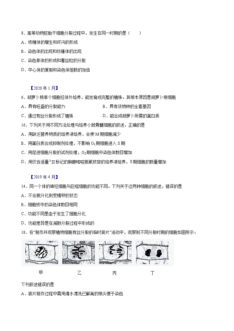 专题04 有丝分裂和减数分裂-五年（2017-2021）高考生物真题分项汇编（浙江专用）（原卷版）02