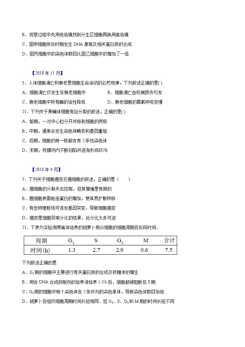 专题04 有丝分裂和减数分裂-五年（2017-2021）高考生物真题分项汇编（浙江专用）（原卷版）03