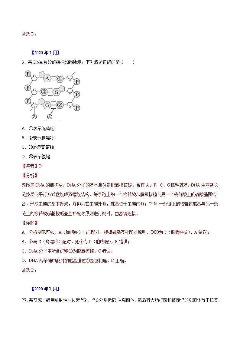 专题06 遗传的分子基础-五年（2017-2021）高考生物真题分项汇编（浙江专用）（解析版）第2页