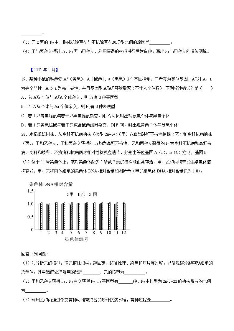 专题05 遗传规律-五年（2017-2021）高考生物真题分项汇编（浙江专用）（原卷版）第2页