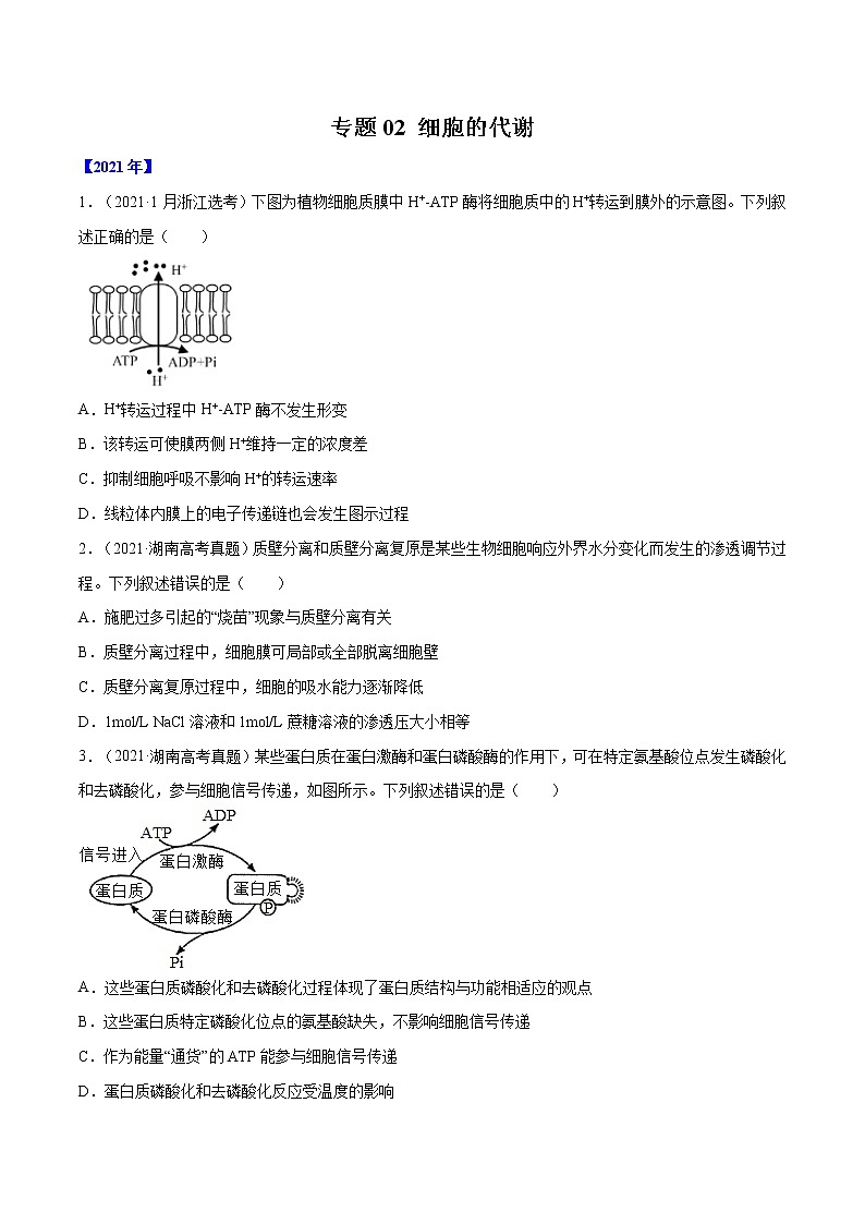 专题02 细胞的能量与代谢-五年（2017-2021）高考生物真题分项详解（全国通用）（原卷版）01