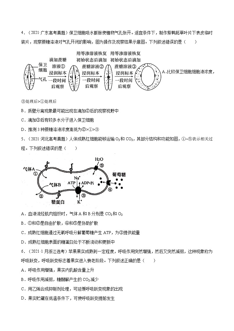 专题02 细胞的能量与代谢-五年（2017-2021）高考生物真题分项详解（全国通用）（原卷版）02