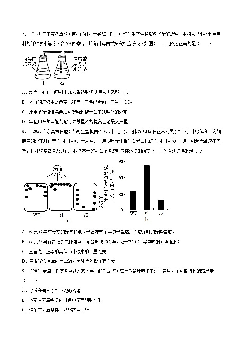 专题02 细胞的能量与代谢-五年（2017-2021）高考生物真题分项详解（全国通用）（原卷版）03